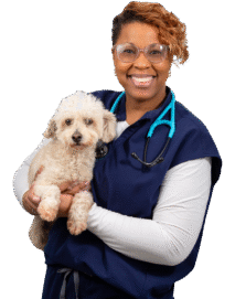 Adobe-Express---file---2025-11-20T153410.384