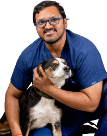 Adobe-Express---file---2025-11-20T153432.283