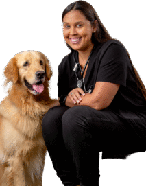 Adobe-Express---file---2025-11-20T153507.450